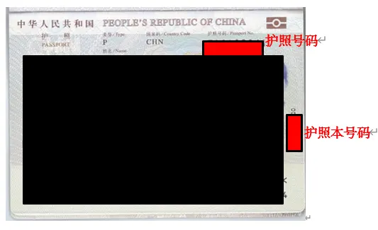 Passport Information（护照信息及护照遗失信息）